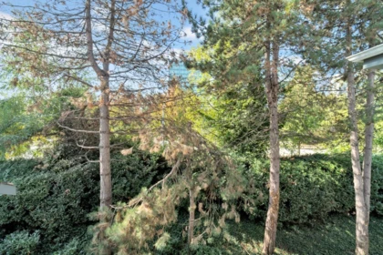 Garden / Landscaping Photo of 304A 7025 Stride Avenue, Burnaby, BC
