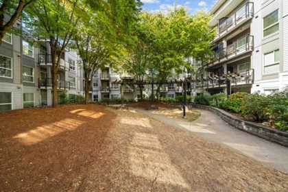 Outdoor Patio Photo of 422 13733 107a Avenue, Surrey, BC