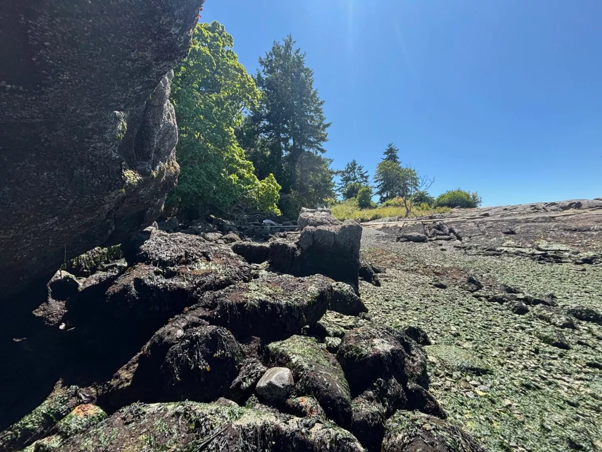 Fitness Center Photo Near 495 Deacon Lane, Galiano Island, BC