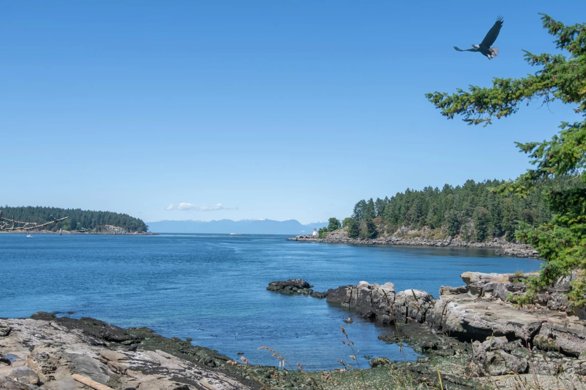 Hot Tub / Spa Photo of 495 Deacon Lane, Galiano Island, BC