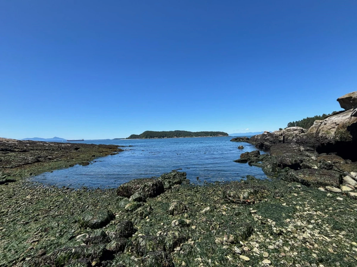 Neighborhood Park Photo Near 495 Deacon Lane, Galiano Island, BC
