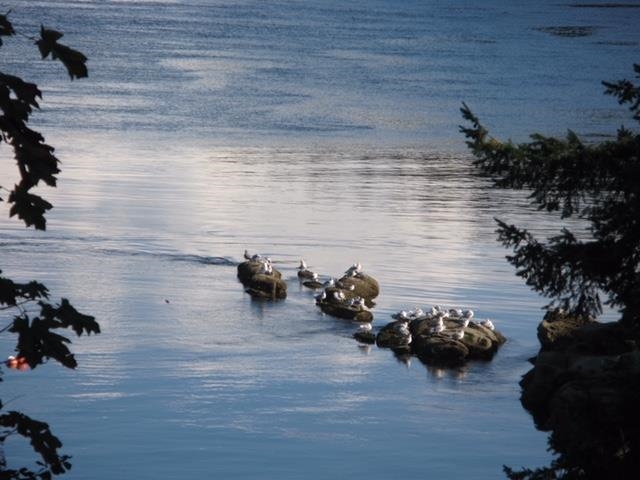 Outdoor Kitchen Photo of 495 Deacon Lane, Galiano Island, BC