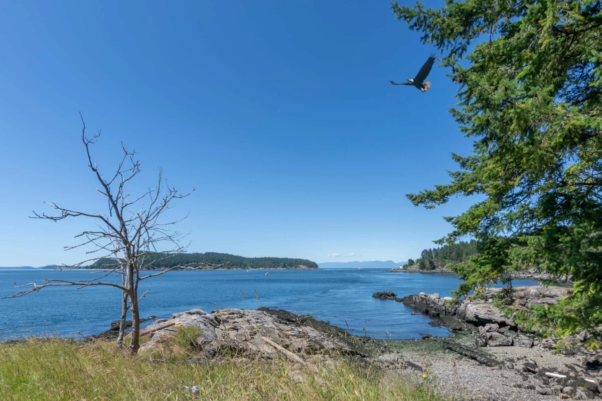 Swimming Pool Photo of 495 Deacon Lane, Galiano Island, BC