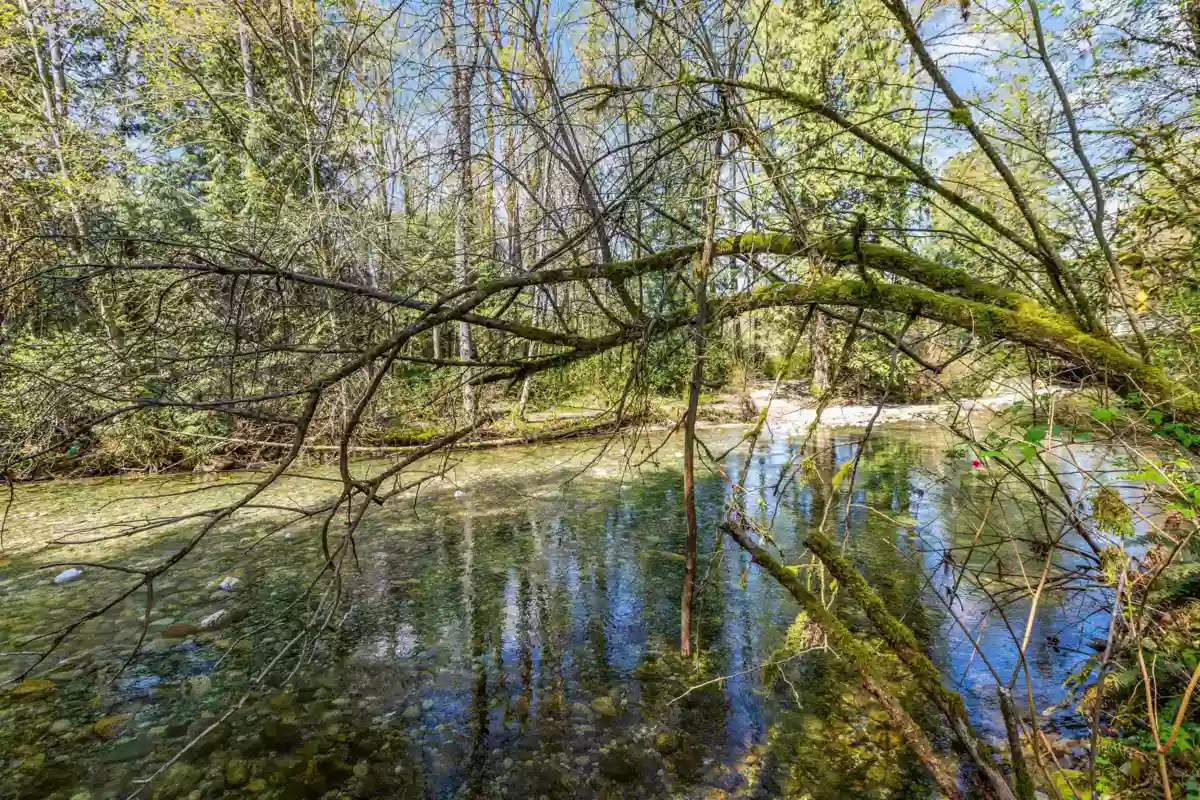 Backyard Photo of 13209 232 Street, Maple Ridge, BC