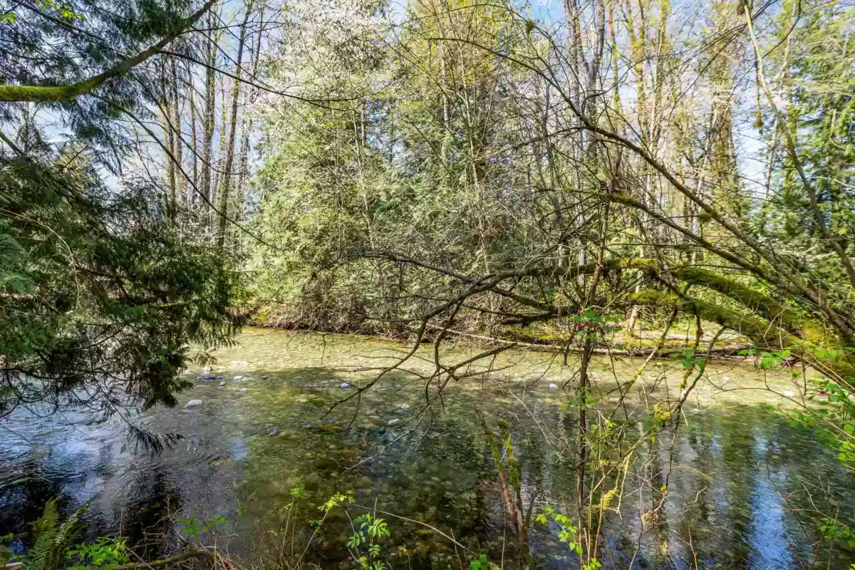 Exterior Front Photo of 13209 232 Street, Maple Ridge, BC