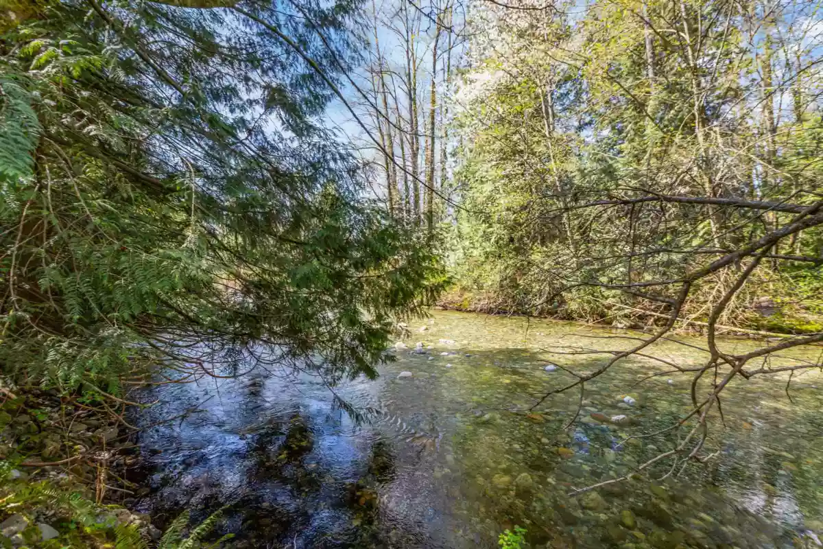 Front Yard Photo of 13209 232 Street, Maple Ridge, BC