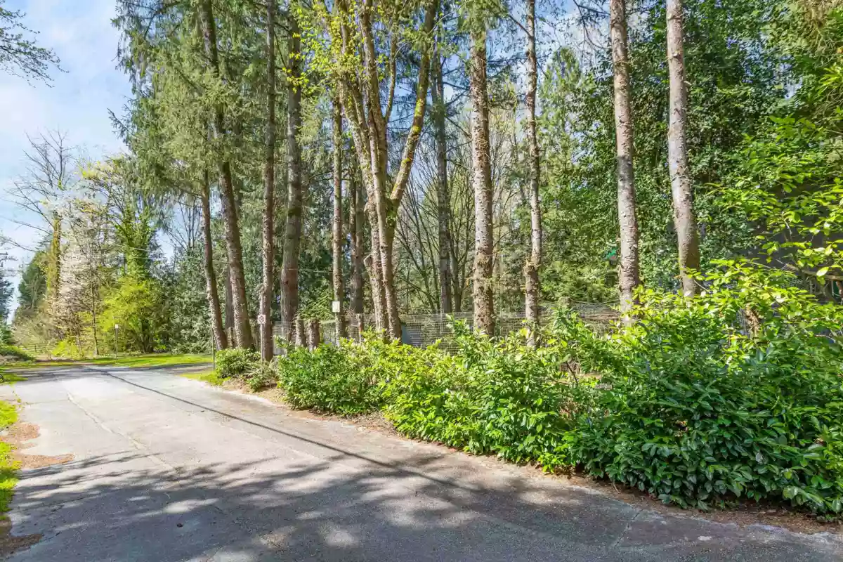 Outdoor Patio Photo of 13209 232 Street, Maple Ridge, BC