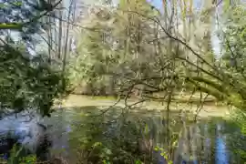 13209 232 Street, Maple Ridge, BC