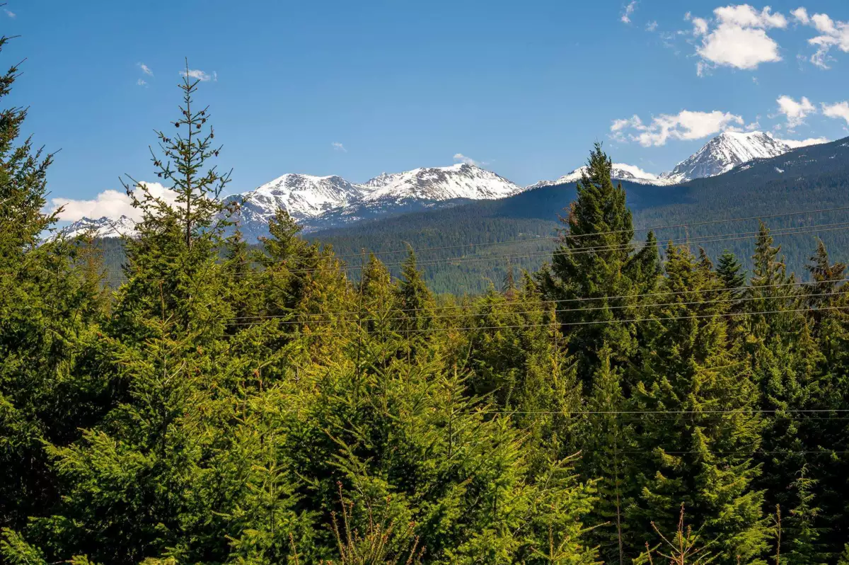 Garage Interior Photo of 6187 Eagle Drive, Whistler, BC