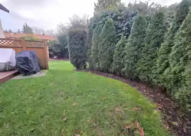 Front Yard Photo of 20 9955 140 Street, Surrey, BC