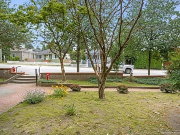 Swimming Pool Photo of 101 2285 Pitt River Road, Port Coquitlam, BC