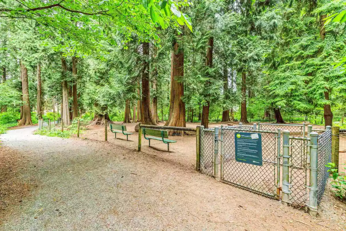 Mudroom Photo of 205 19142 122 Avenue, Pitt Meadows, BC