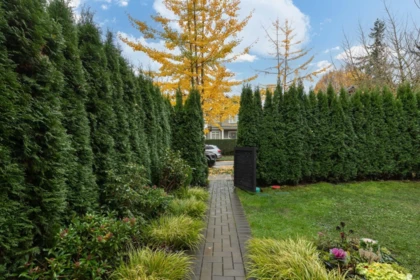 959 E 13th Avenue, Vancouver, BC