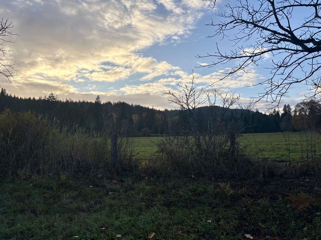 Entry Foyer Photo of 27111 104 Avenue, Maple Ridge, BC