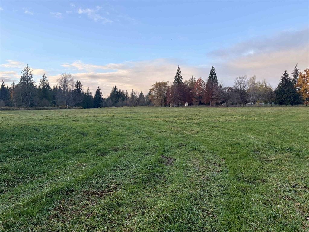 Pantry Photo of 27111 104 Avenue, Maple Ridge, BC
