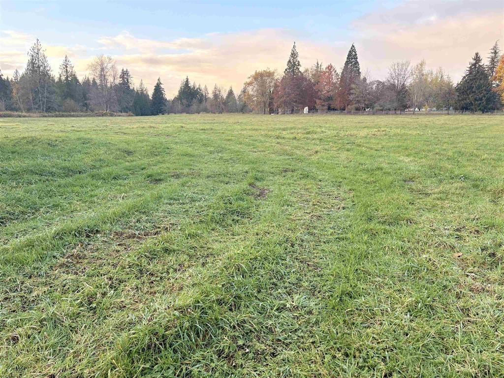 Primary Bedroom Photo of 27111 104 Avenue, Maple Ridge, BC