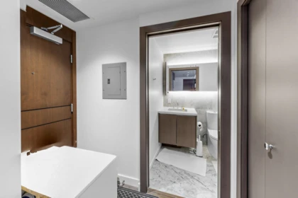 Walk-In Closet Photo of 351 38 Smithe Street, Vancouver, BC