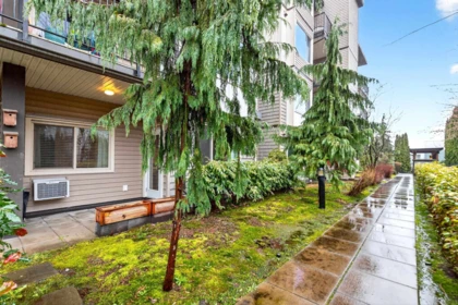 Outdoor Kitchen Photo of 109 11935 Burnett Street, Maple Ridge, BC