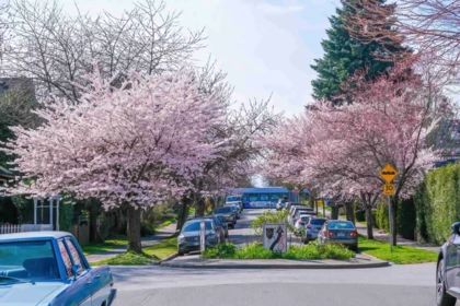826 E 13th Avenue, Vancouver, BC, Vancouver — Single Family Residence for sale