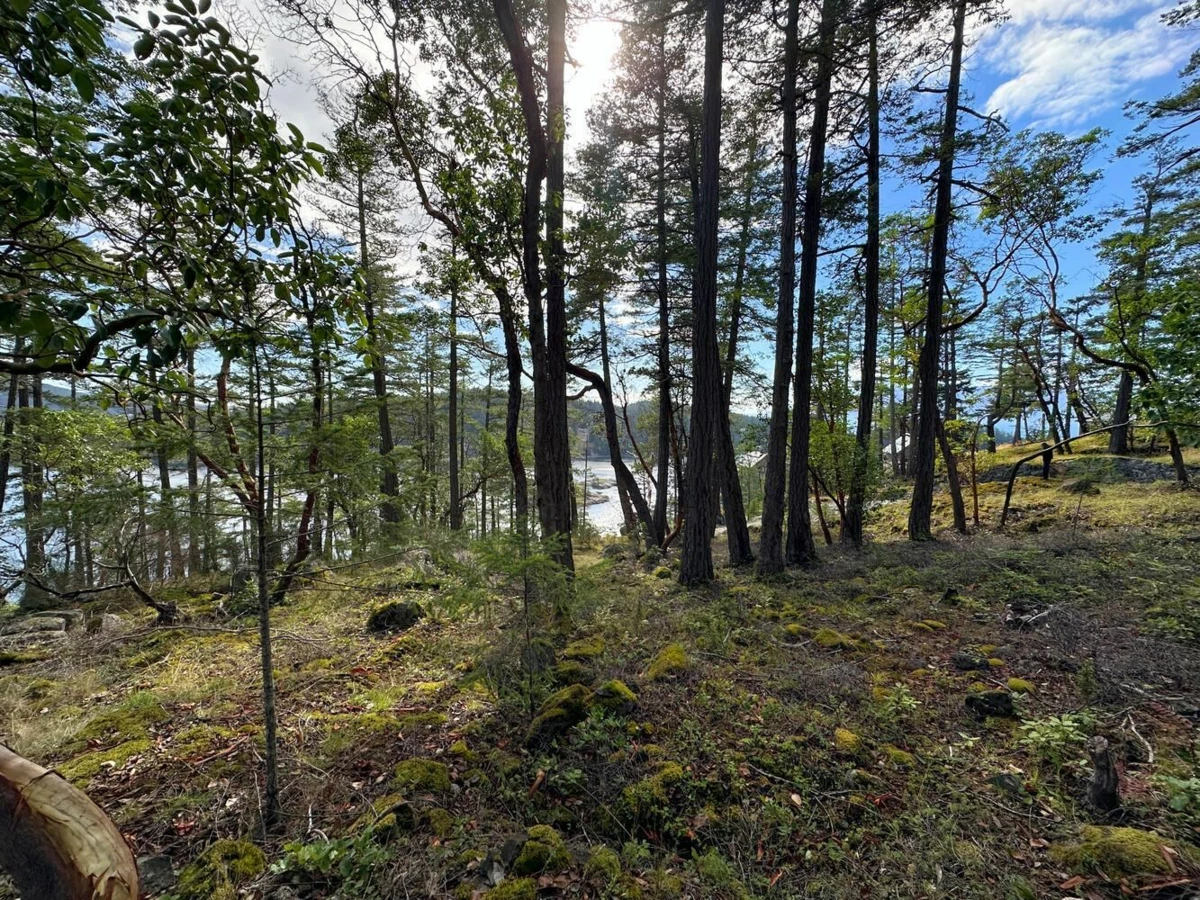 Family Room Photo of LOT 14 Flagship Road, Garden Bay, BC