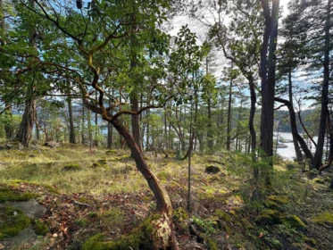 LOT 14 Flagship Road, Garden Bay, BC, Garden Bay — Land for sale