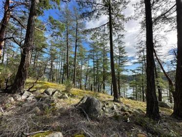 Pantry Photo of LOT 14 Flagship Road, Garden Bay, BC