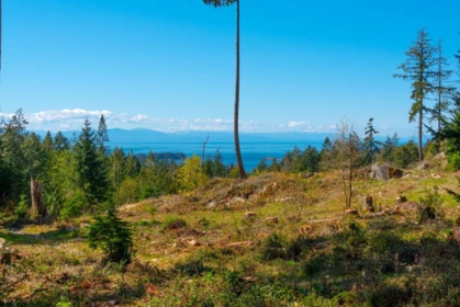 Lot 1 Innisfree Lane, Bowen Island, BC, Bowen Island —  bed land for sale