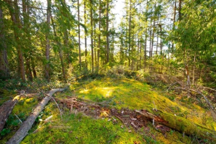 Kitchen Island Photo of Lot 1 Innisfree Lane, Bowen Island, BC
