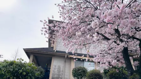 5 6481 Elgin Avenue, Burnaby, BC, Burnaby — Townhouse for sale
