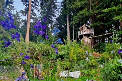 Garden / Landscaping Photo of 1253 Adams Road, Bowen Island, BC