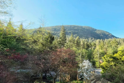 Neighborhood Park Photo Near 1253 Adams Road, Bowen Island, BC