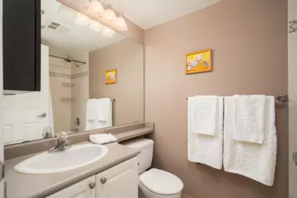 Walk-In Closet Photo of 207 223 Mountain Highway, North Vancouver, BC