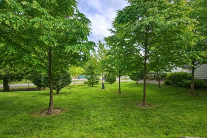 Street View Photo of 75 15665 Mountain View Drive, Surrey, BC