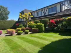 6680 Juniper Drive, Richmond, BC