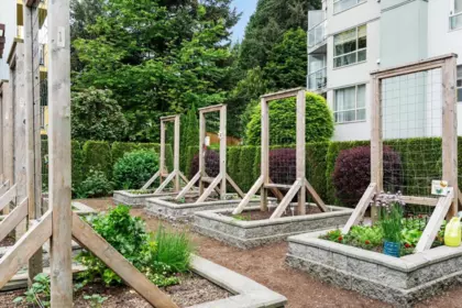 Swimming Pool Photo of 301 2555 Ware Street, Abbotsford, BC