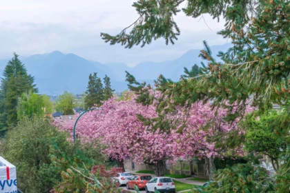 1 5595 Fleming Street, Vancouver, BC, Vancouver — Half Duplex for sale