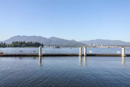 Neighborhood Park Photo Near 3101 1499 W Pender Street, Vancouver, BC