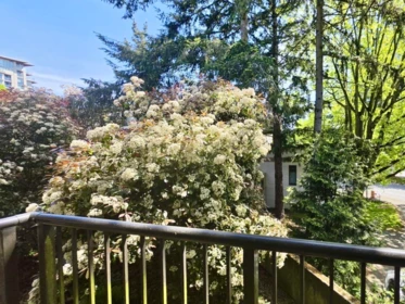 Breakfast Nook Photo of 220 8231 Granville Avenue, Richmond, BC