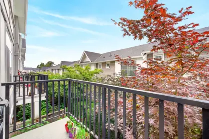 Backyard Photo of 68 11267 133 Street, Surrey, BC