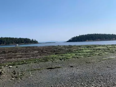 Aerial View of 531 Arbutus Drive, Mayne Island, BC