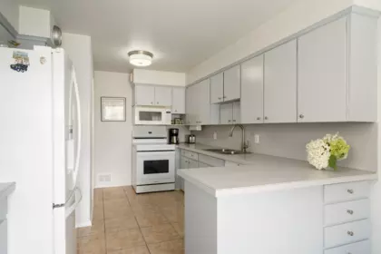 Basement Recreation Room Photo of 335 Churchill Avenue, New Westminster, BC