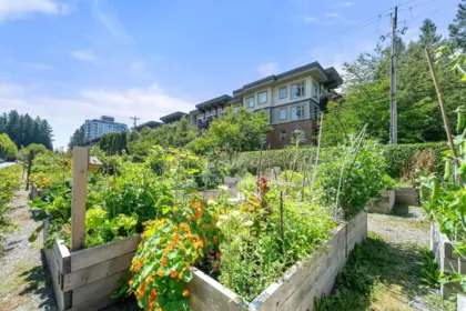 222 2280 Wesbrook Mall, Vancouver, BC, Vancouver — Apartment/Condo for sale