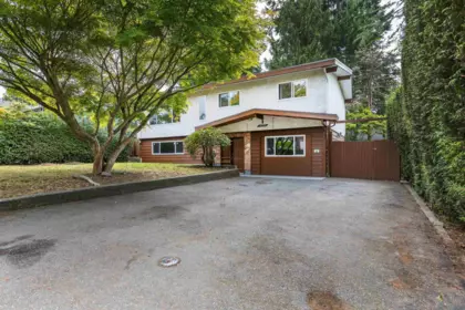 Family Room Photo of 14036 102a Avenue, Surrey, BC