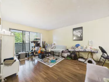 Kitchen Photo of 227 8700 Ackroyd Road, Richmond, BC