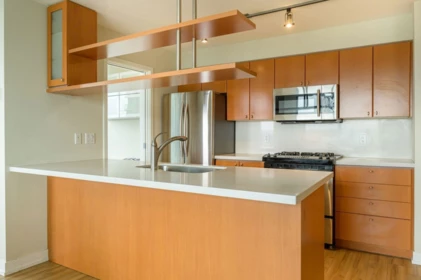 2602 1495 Richards Street, Vancouver, BC