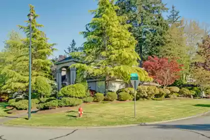 14088 29a Avenue, Surrey, BC, Surrey — Single Family Residence for sale