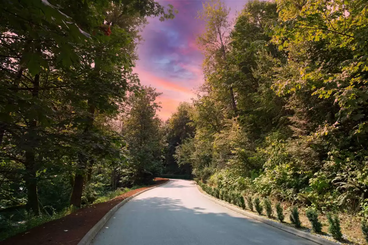 Living Room Photo of 6 3737 Clearbrook Road, Abbotsford, BC