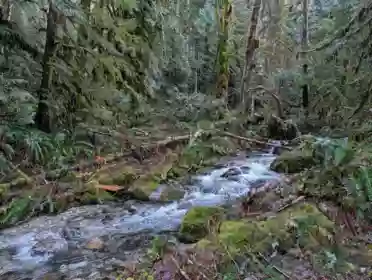 2045 N Rustad Road, Squamish, BC, Britannia Beach —  bed land for sale