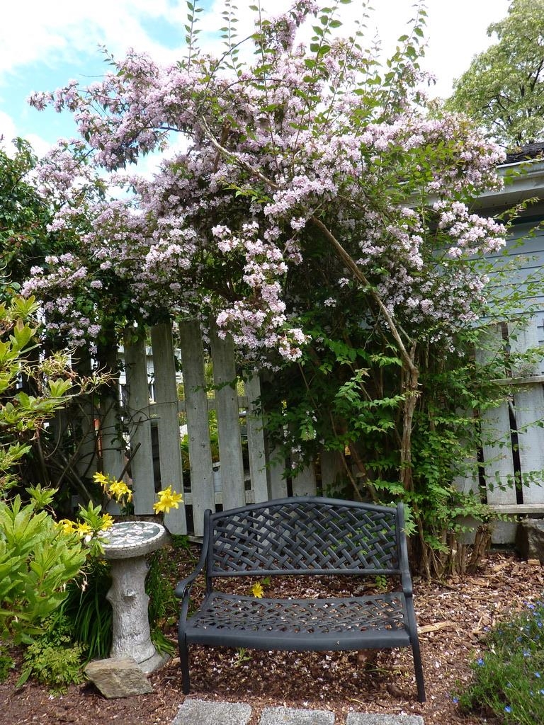 Primary Bedroom Photo of 3726 W 33rd Avenue, Vancouver, BC