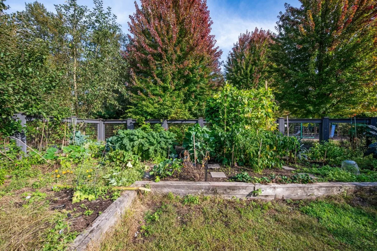 Backyard Photo of 25 2358 Ranger Lane, Port Coquitlam, BC